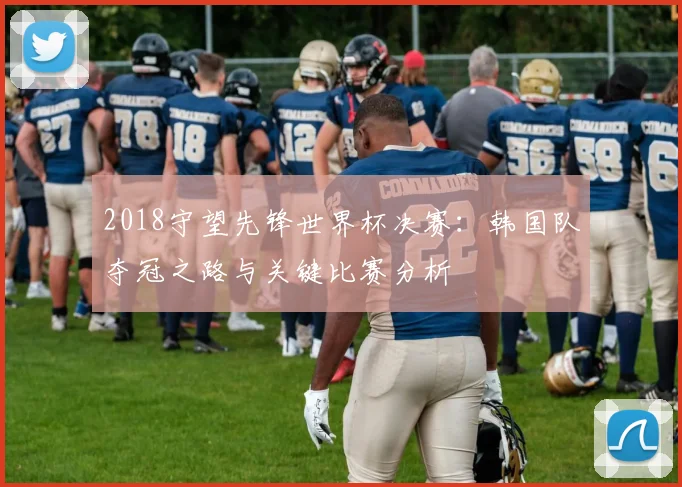 2018守望先锋世界杯决赛：韩国队夺冠之路与关键比赛分析