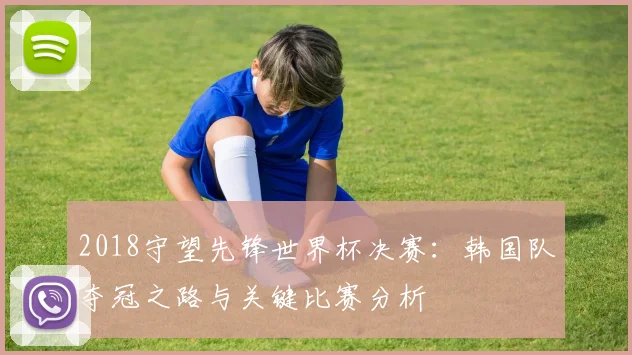 2018守望先锋世界杯决赛：韩国队夺冠之路与关键比赛分析